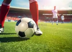 女排卫冕之,路充满挑战,FB体育,FB体育平台,FB体育官方网站,FB体育登录入口,FB体育app下载