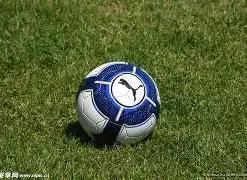 国足与菲律,宾战成平局,内情揭秘,FB体育平台,FB体育官方网站,FB体育登录入口,FB体育app下载