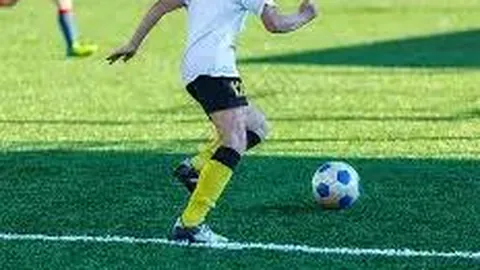 FB体育 资讯 100045 hfn