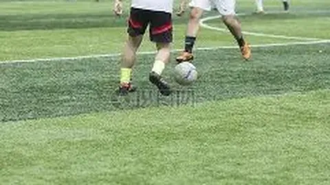 FB体育 产品 100303 bya