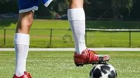 FB体育 产品 095843 265